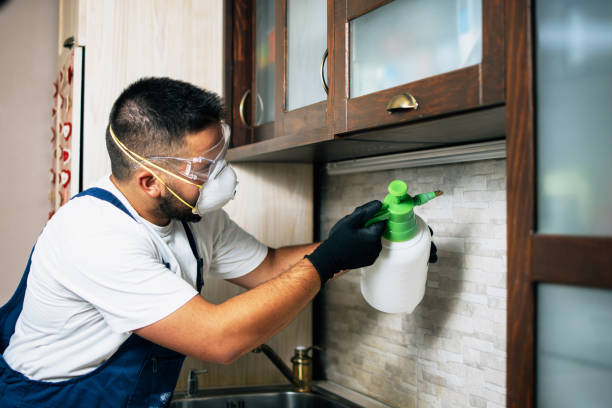 Best Pest Removal Services  in Dacula, GA